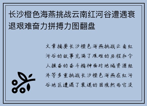 长沙橙色海燕挑战云南红河谷遭遇衰退艰难奋力拼搏力图翻盘